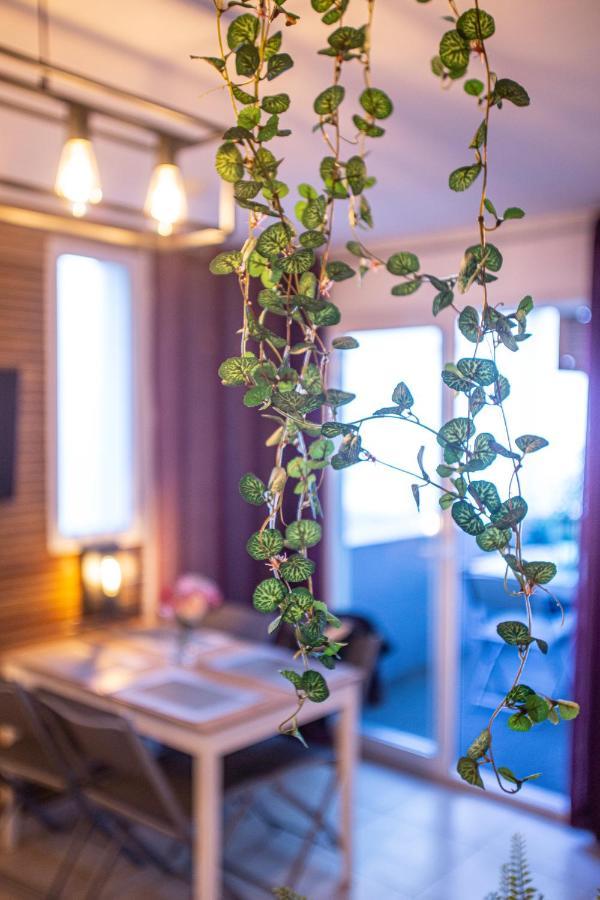 Superbe Appartement - Terrasses - Clim - Parking Prepaye La Valette-du-Var Exteriér fotografie